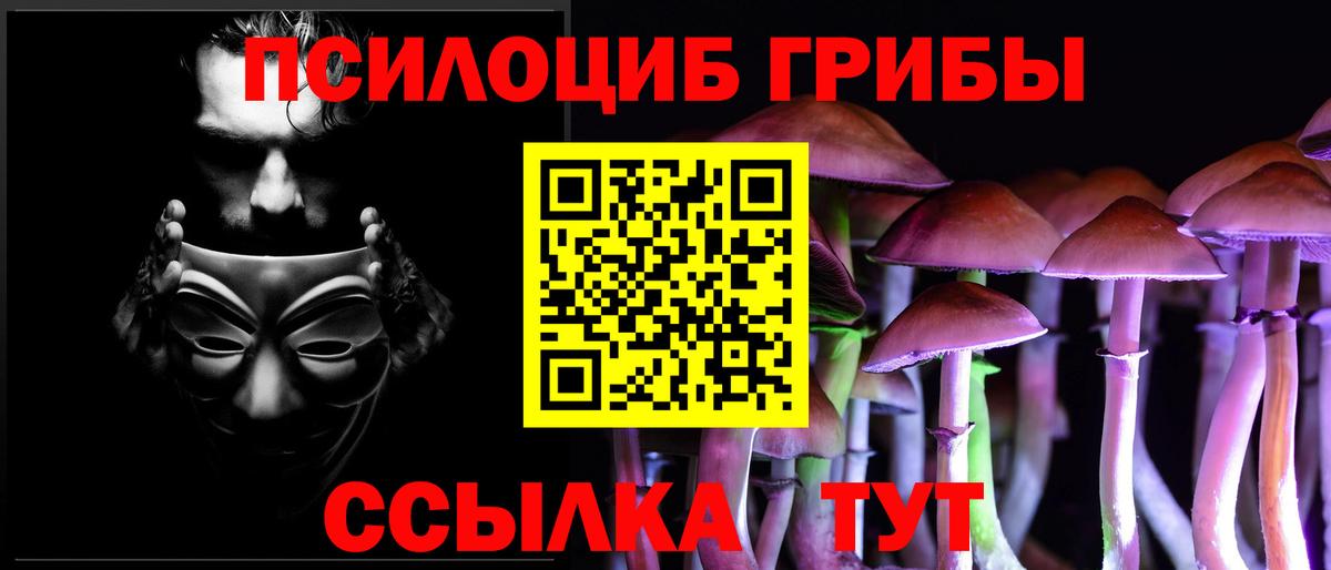 Галлюциногенные грибы MAGIC MUSHROOMS  Вход с VPN  как найти наркотики  Курчалой 